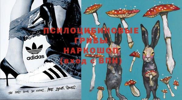 ГАЛЛЮЦИНОГЕННЫЕ ГРИБЫ Алексин