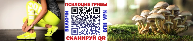 Псилоцибиновые грибы Magic Shrooms  kraken зеркало  Кореновск  где можно купить  